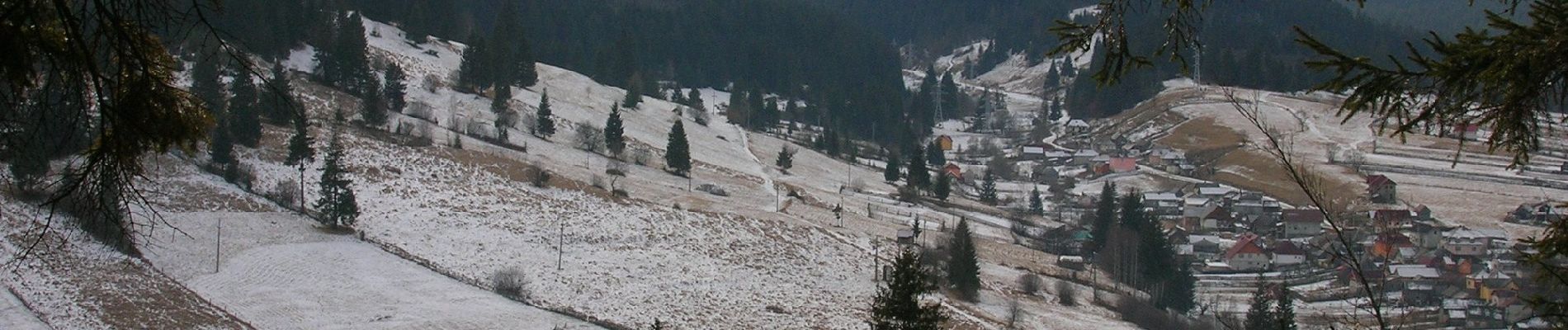 Percorso A piedi Unknown - oraș Borsec - Pasul Chiozrez - Photo