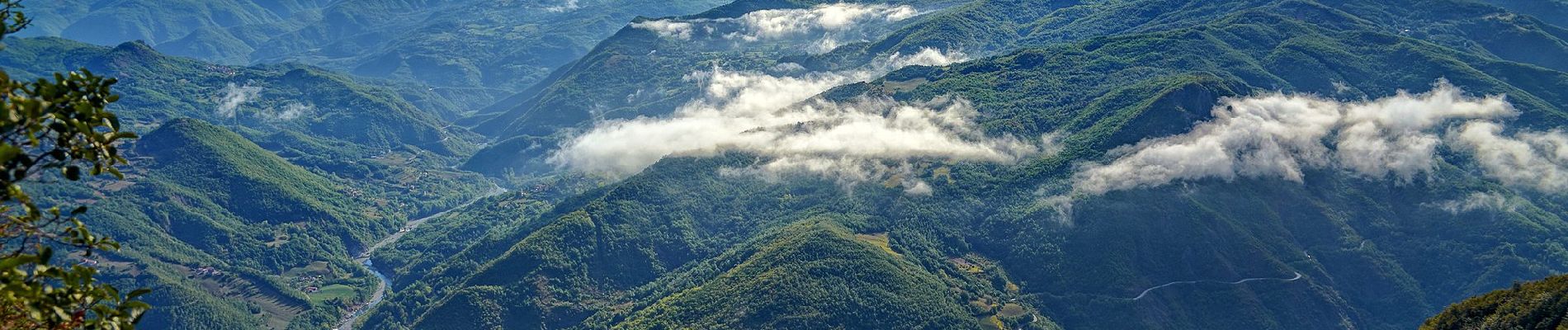 Tocht Te voet Brallo di Pregola - IT-9 - Photo