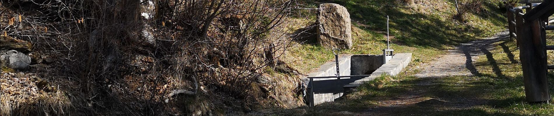 Excursión Marcha nórdica Arbaz - le pertou - Photo