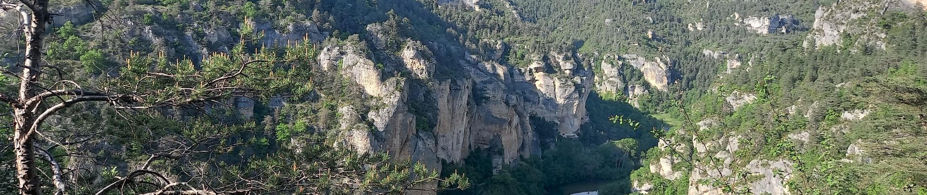 Trail Walking Gorges du Tarn Causses - de St Enimie aux Vignes - Photo