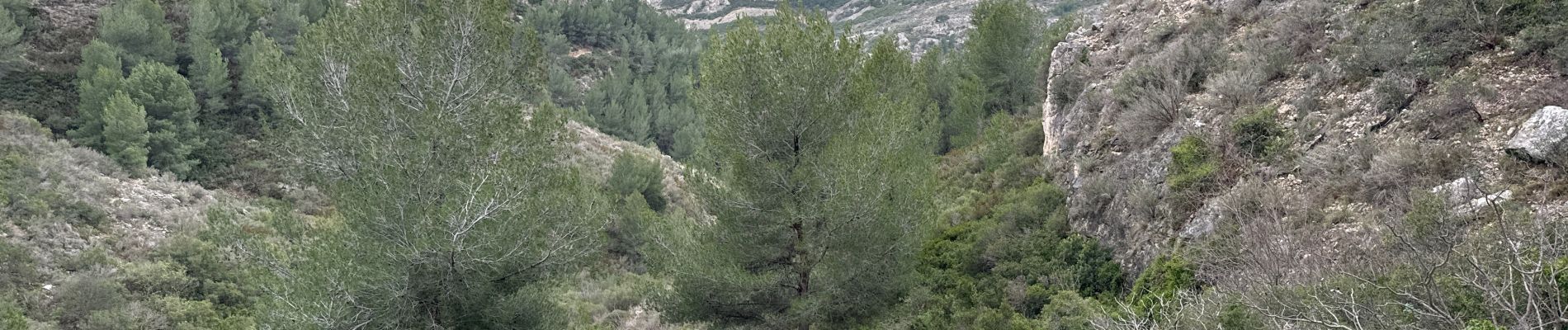 Tour Wandern Marseille - Luminy-l'escalette - Photo