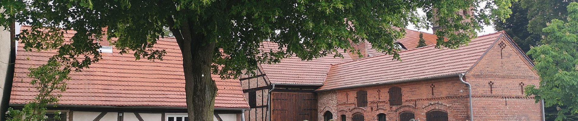 Tour Zu Fuß Märkische Heide - Rundwanderweg Pretschener Weinberg - Photo