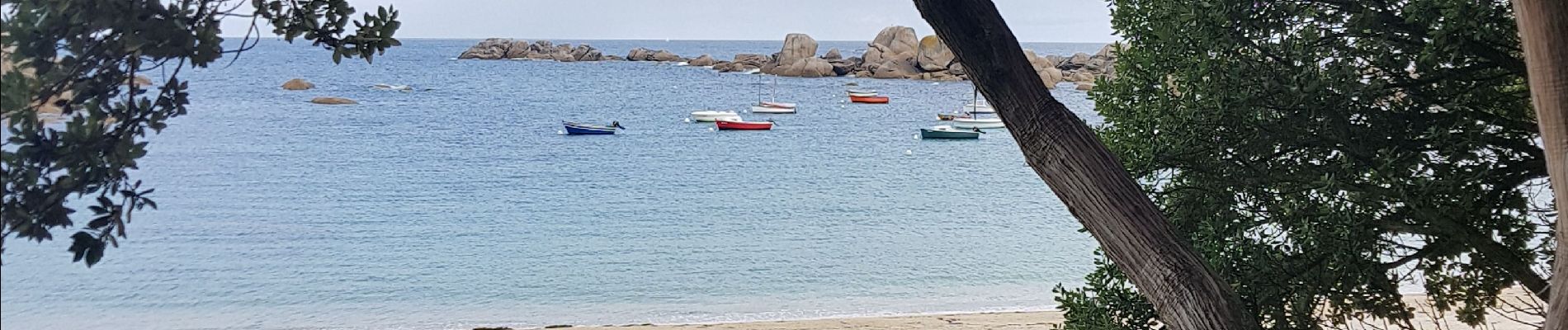 Randonnée Marche Plounéour-Brignogan-Plages - brignogan - Photo