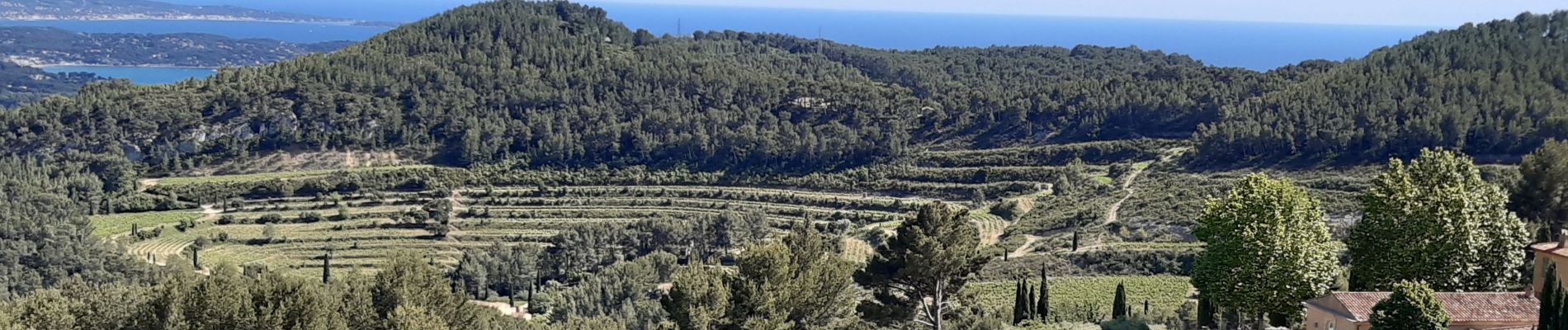 Tour Wandern La Cadière-d'Azur - La Cadiere d'Azur - Photo