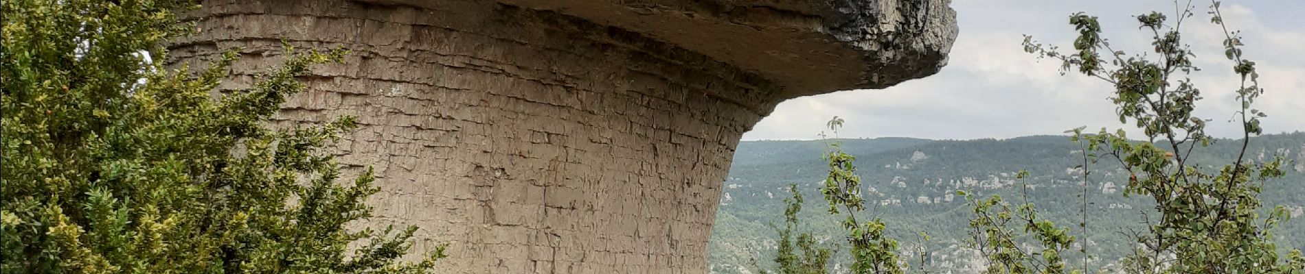 Tocht Stappen Mostuéjouls - Gorges du Tarn (Liaucous) - Photo