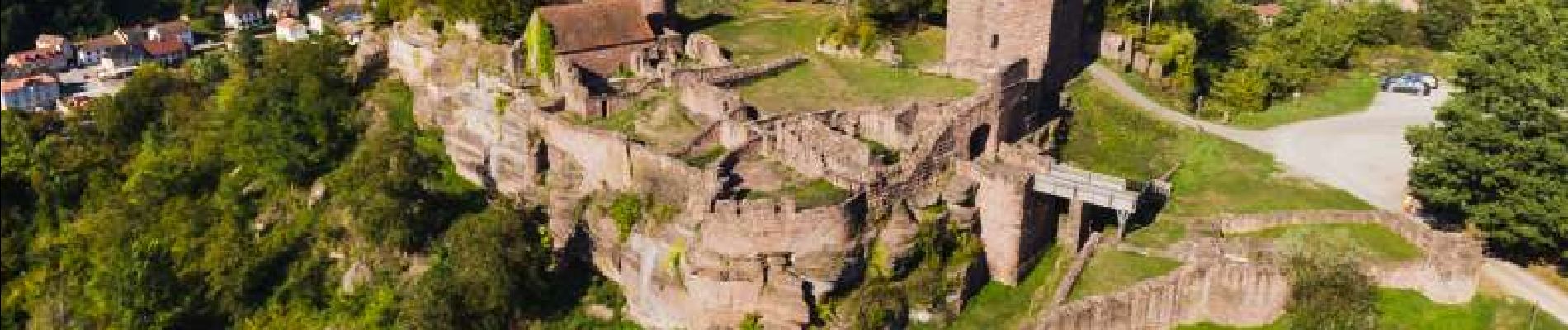 Excursión A pie Lutzelbourg - Château de Lutzelbourg - Photo