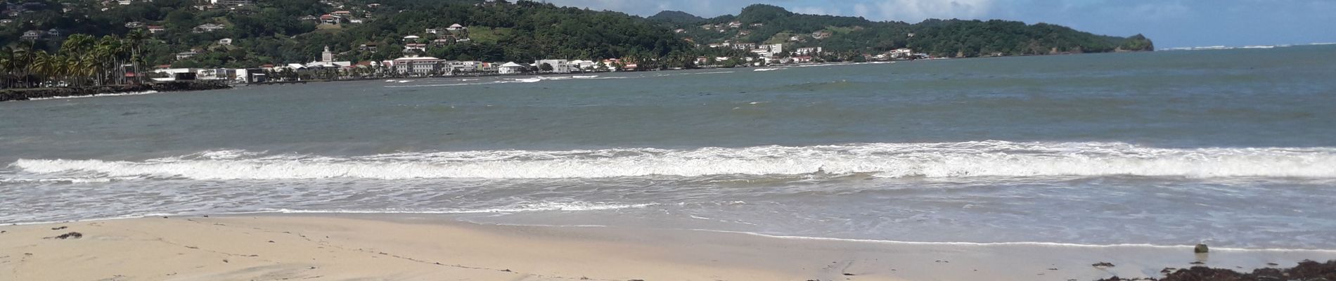 Tocht Stappen Le Robert - Pointe Savane plage des Resignier - Photo