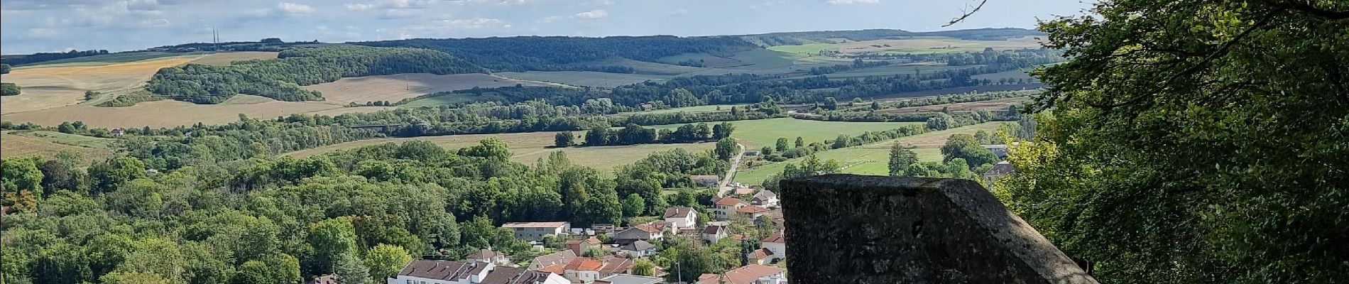 Trail Walking Joinville - dans joinville depuis le Château du Haut - Photo