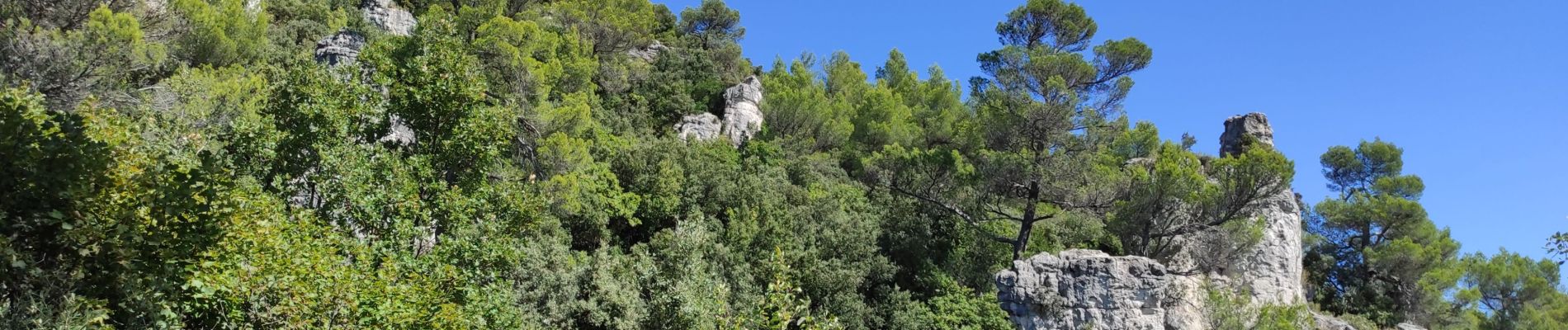 Excursión Senderismo Méounes-lès-Montrieux - reco Jas du Murier - Photo