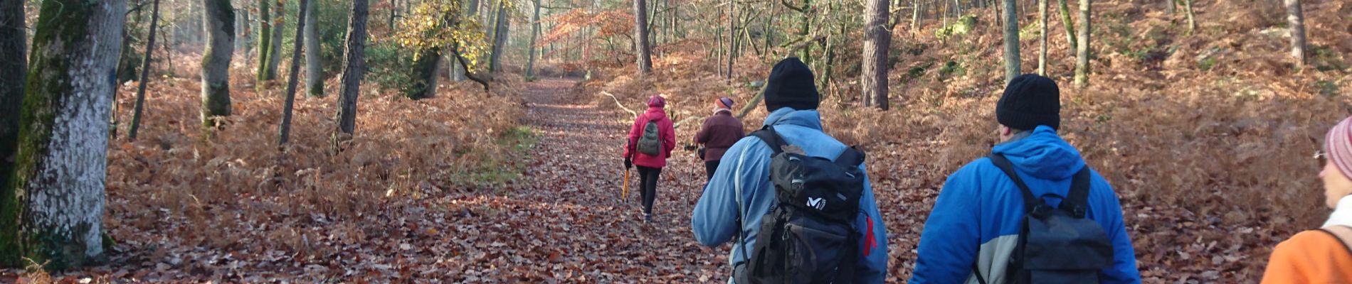 Trail Walking Fontainebleau - 8 routes 9 décembre 2022  - Photo