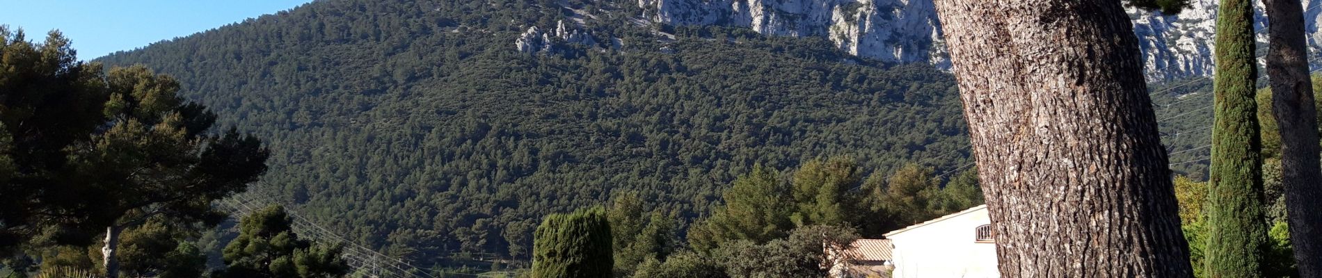 Tour Wandern La Valette-du-Var - La Ripelle-24-03-21 - Photo