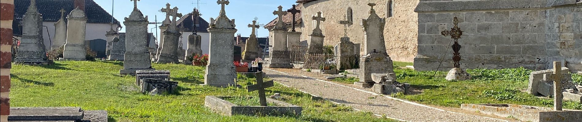 Randonnée Vélo électrique Connantre - Connantre  marne - Photo