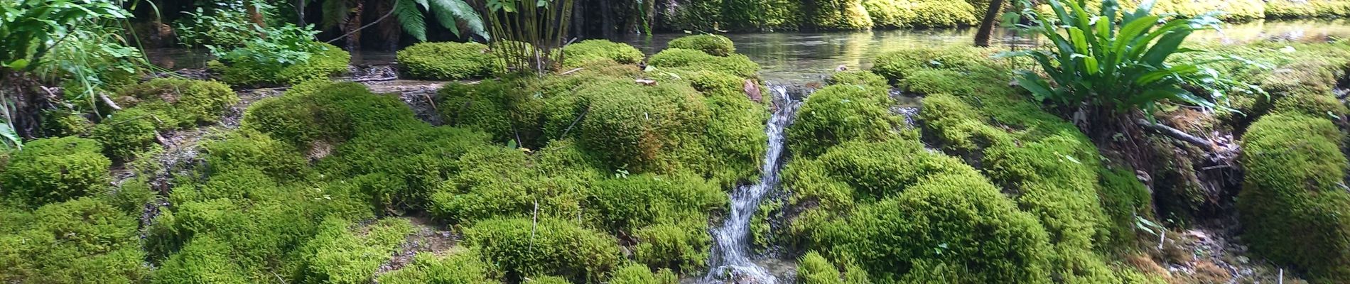 Tour Wandern Bourg-de-Sirod - Perte de l'Ain 15.7.24 - Photo