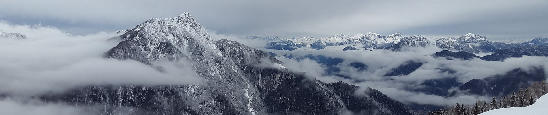 Randonnée A pied Tarvisio - Sentiero del Pellegrino - Photo