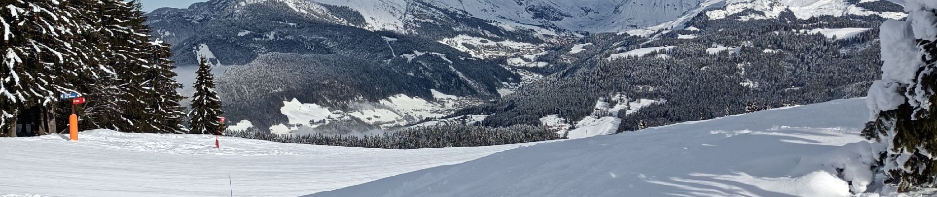 Tour Schneeschuhwandern Les Villards-sur-Thônes - Plateau de Beauregard - Photo