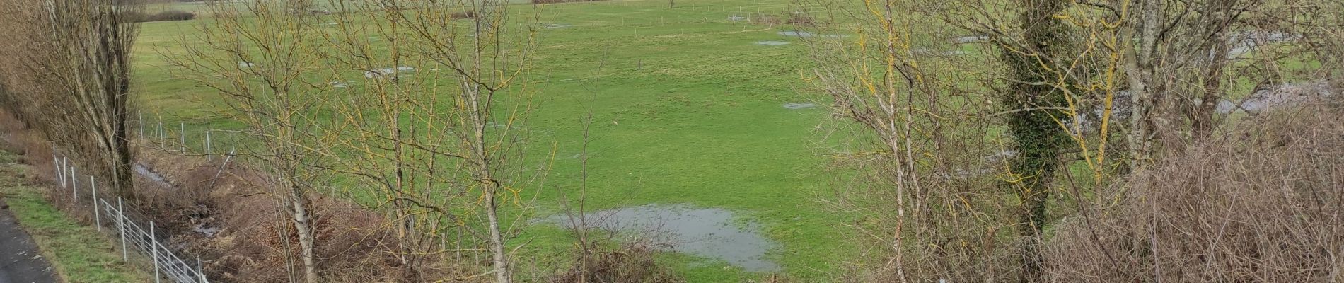 Tocht Stappen Heimsbrunn - Heimsbrunn - Photo