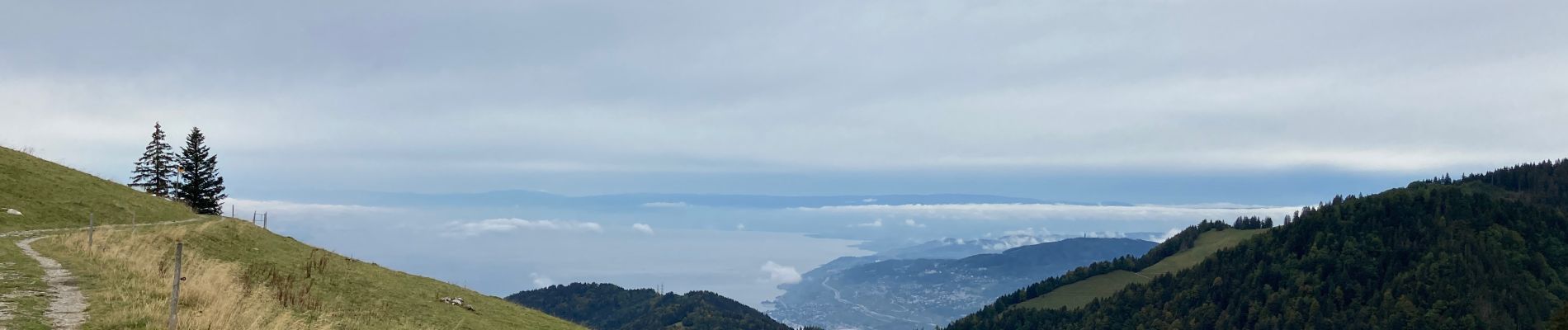 Tocht Stappen Montreux - Le PACCOTA  - Photo