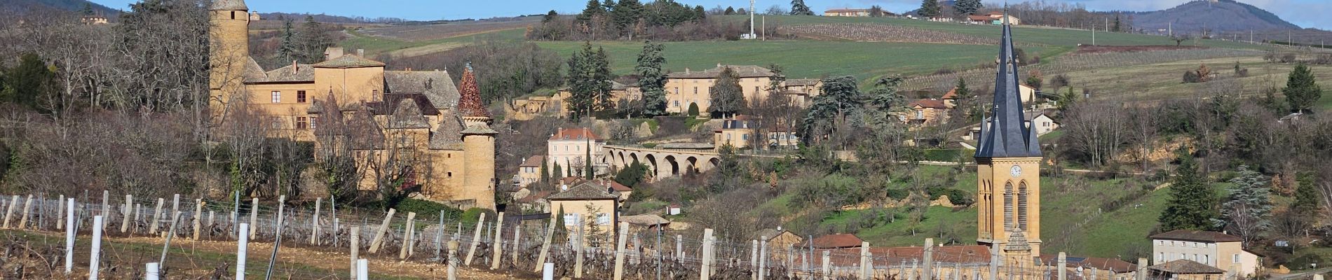 Trail Walking Ville-sur-Jarnioux - Ville sur Jarnioux - Photo