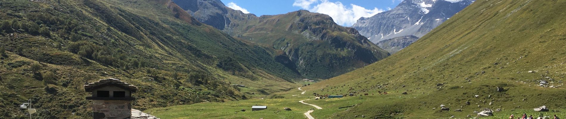 Trail Walking Pralognan-la-Vanoise - Les Prioux-Alpage Ritort  a/r  - Photo