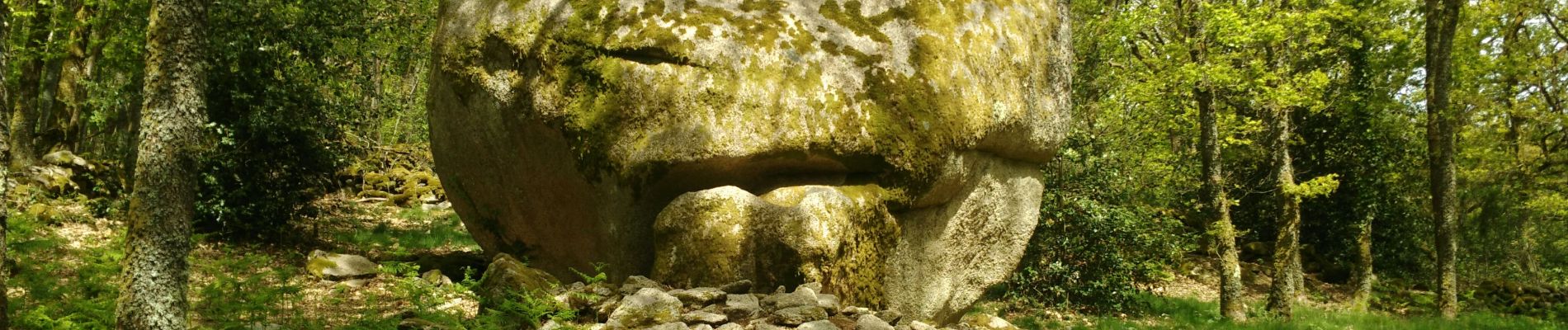 Trail Walking Toulx-Sainte-Croix - les pierres jaumatres (Toulx st croix) - Photo