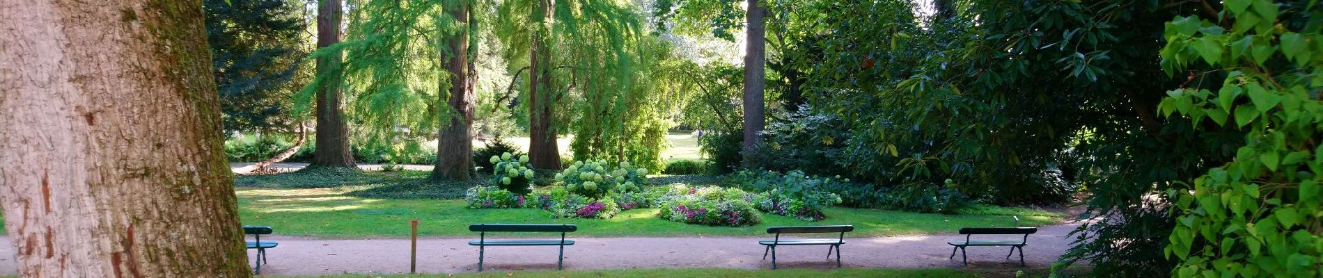 Randonnée Marche Tours - Tours - Prébendes Parc des expositions de Rochepinard - 9.5km 85m 1h30 - 2017 02 05 - Photo