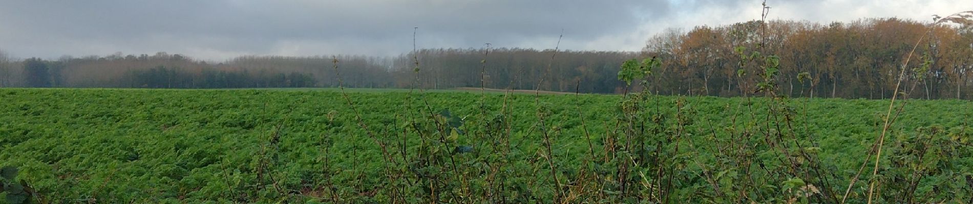 Tocht Stappen Le Rœulx - Marche ADEPS Mignault - Photo