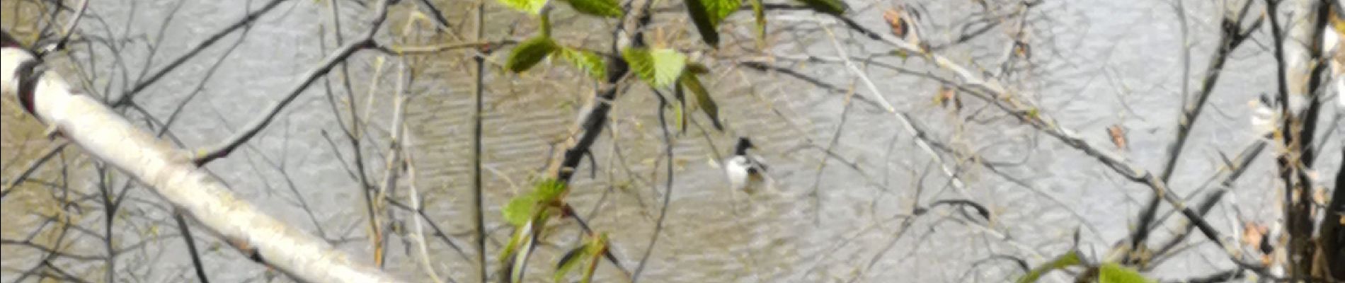 Randonnée Marche Lagraulière - Lagauliere - Photo