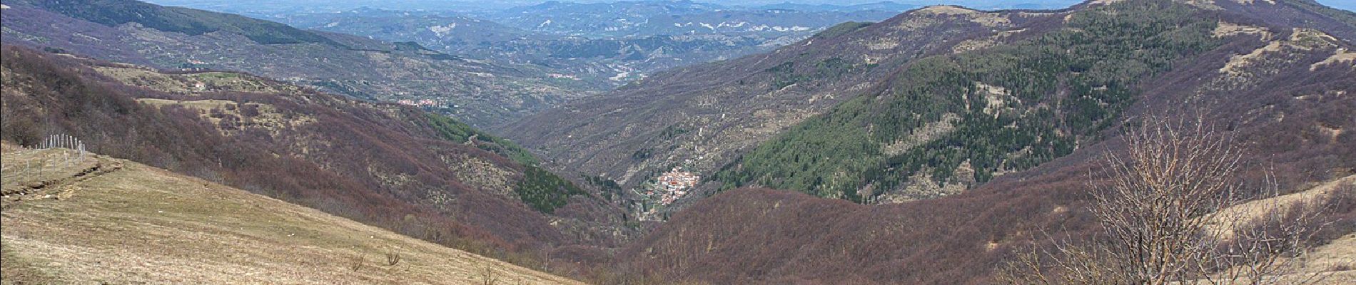 Percorso A piedi Fabbrica Curone - Bruggi – Monte Chiappo - Photo