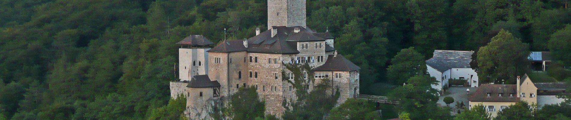 Tour Zu Fuß Kipfenberg - Rundwanderweg Kipfenberg 12 - Photo