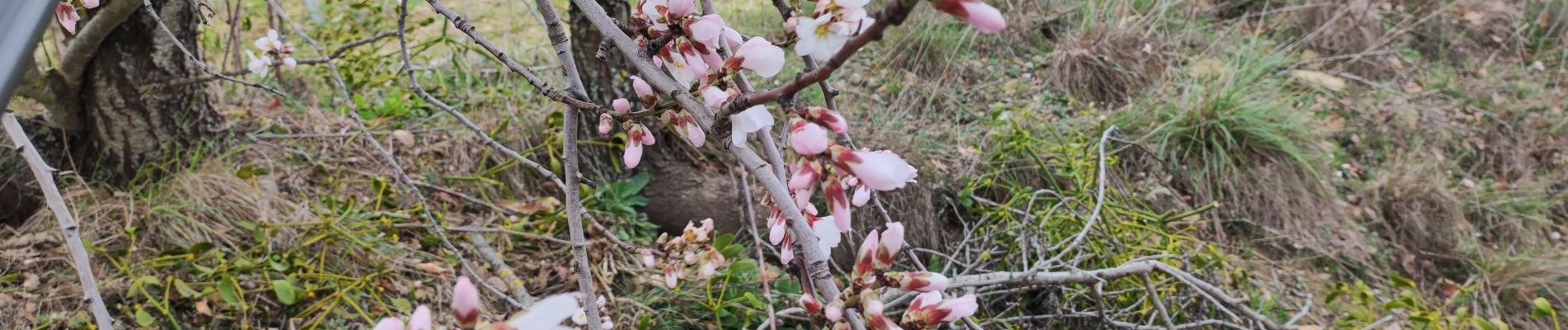 Tour Wandern La Digne-d'Amont - la digne d'amont - Photo