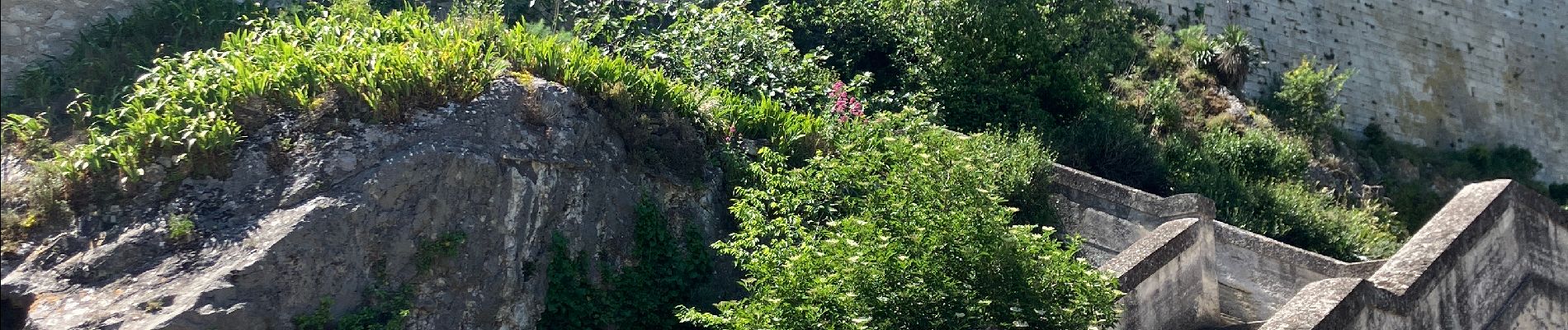 Tour Wandern Avignon - Avignon Vieille ville - Photo