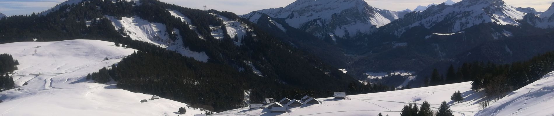 Trail Snowshoes Bellevaux - la chevrerie  - Photo