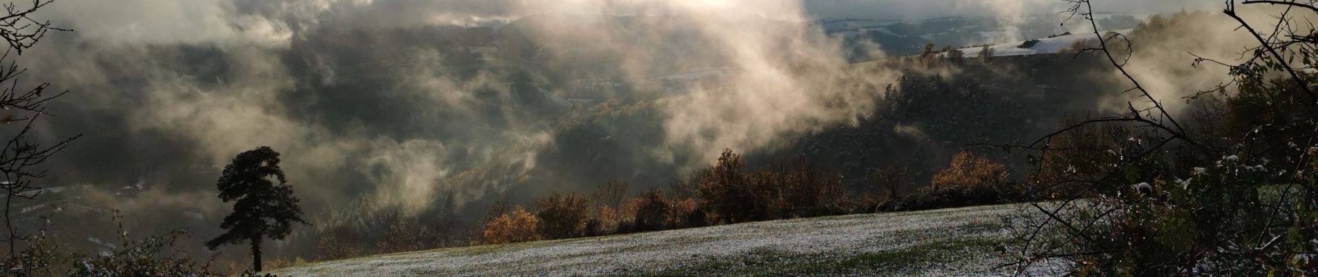 Randonnée Marche Barjac - Viala bas  - Photo