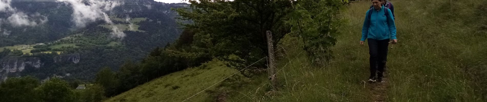 Randonnée Marche Saint-Nizier-du-Moucherotte - Le bois de la Plagne- St Nizier du Moucherotte - Photo