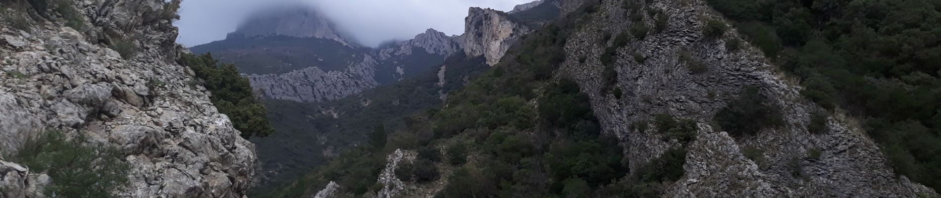 Trail Walking Gémenos - du vallon de la fauge à la glacière par Christian  - Photo