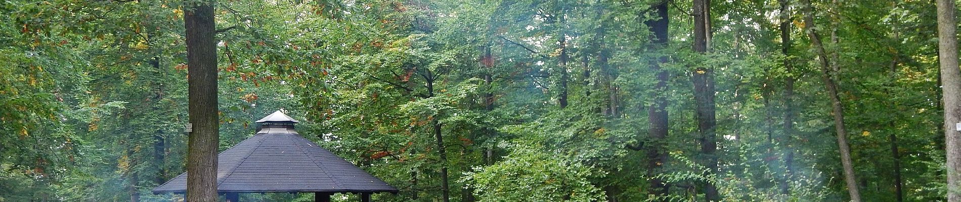 Tocht Te voet Onbekend - DE-SAV Blauer Punkt, Heslach - Vier Eichen - Photo