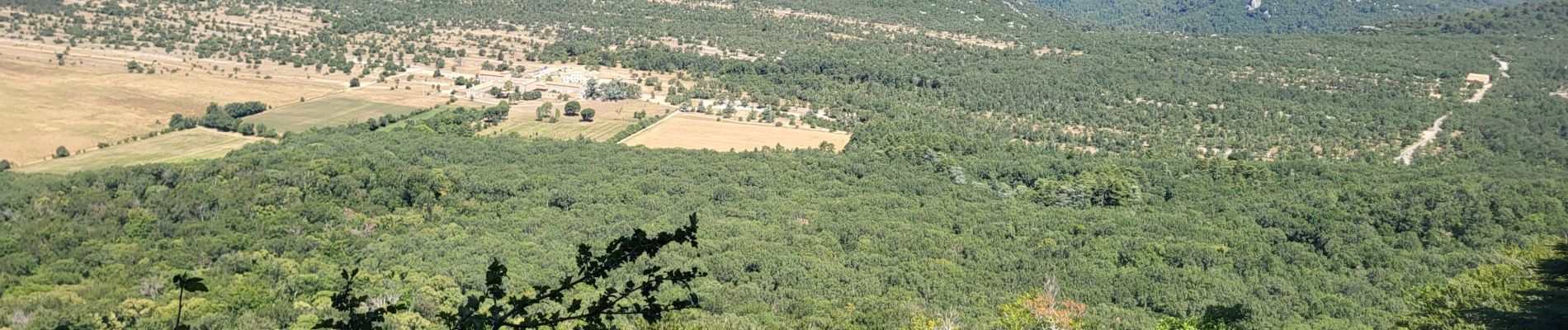 Tour Wandern Plan-d'Aups-Sainte-Baume - la Ste Baume  la grotte aux œufs  - Photo