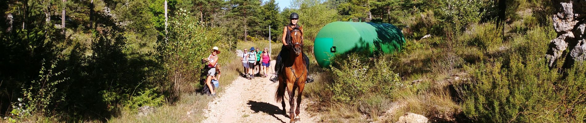 Tour Wandern Aups - Aups - Photo