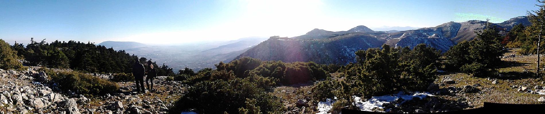 Trail On foot Municipal Unit of Acharnes - Καταφύγιο Φλαμπούρι - Μακρυχώραφο Κατσιμιδίου - Photo