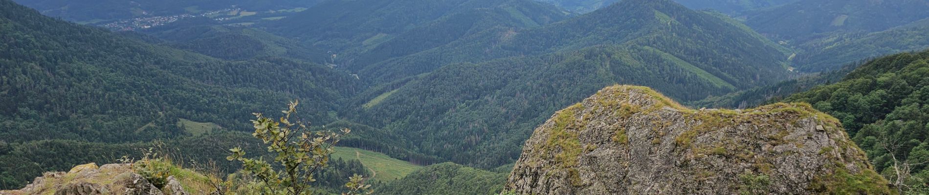 Excursión Senderismo Bitschwiller-lès-Thann - Arnaud et noemie - Photo