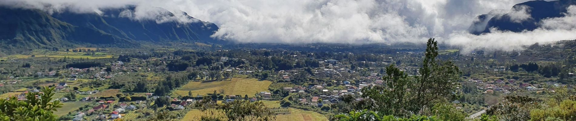 Tour Wandern La Plaine-des-Palmistes - Tour du Piton des songes - Photo