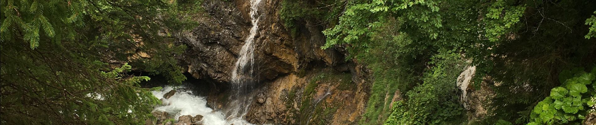 Tour Wandern Montriond - Lac de Montrillon  sous la pluie - Photo