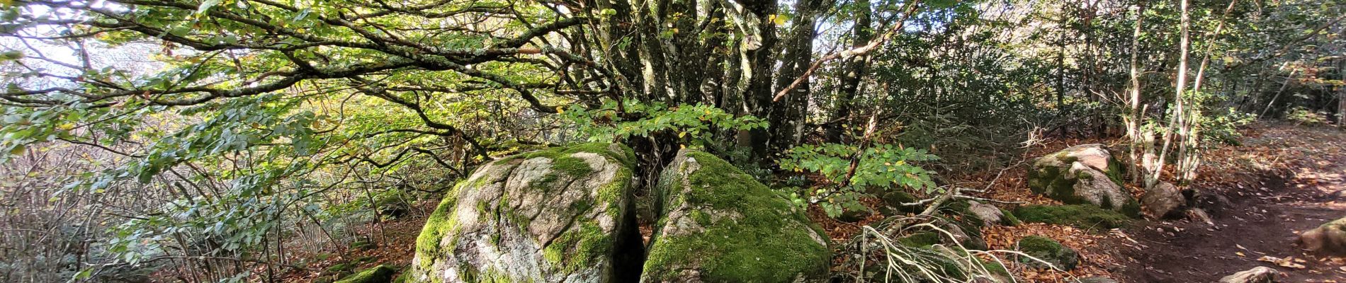 Randonnée Marche Pélussin - croix de Montvieux château Belize - Photo