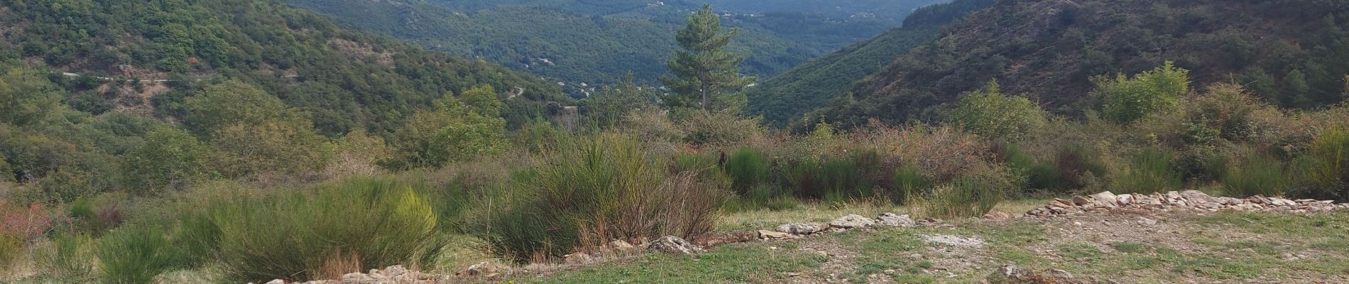 Randonnée Marche Aumessas - aumessas au col de mouzoules - Photo