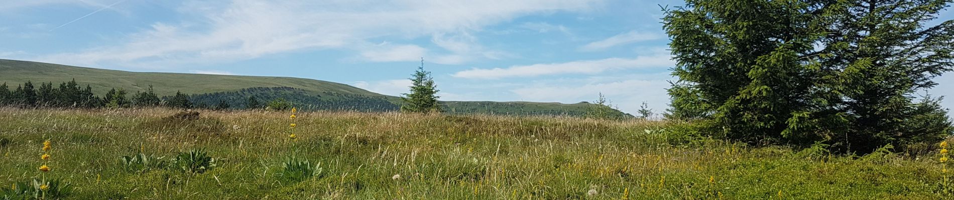 Trail Walking Orcival - boucle du Puy de l Ouire - Photo