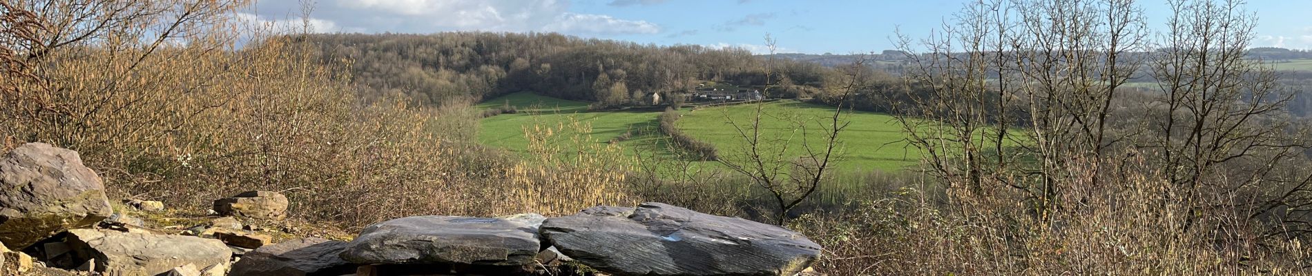 Trail Walking Comblain-au-Pont - Comblain au pont - Photo