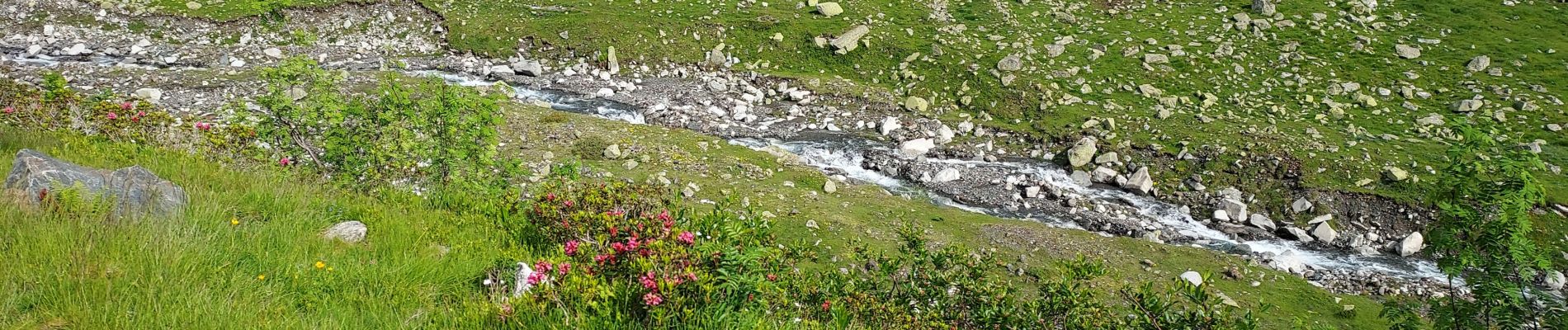 Tocht Stappen Aragnouet - le Badet - Photo