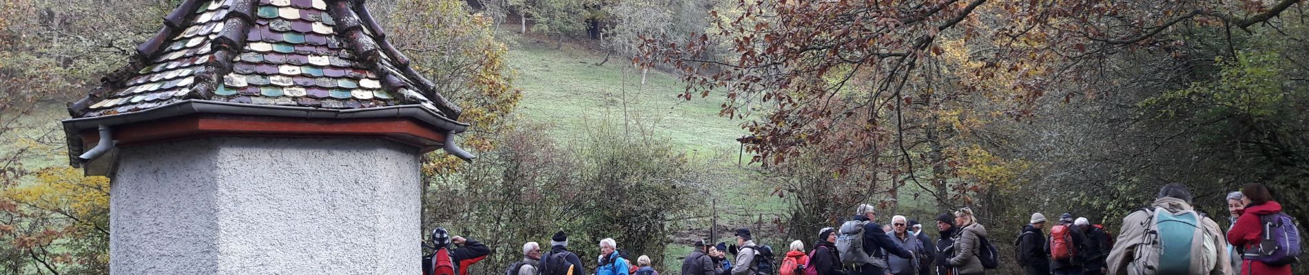 Trail Walking Willer-sur-Thur - 2019.11.13.Willer - Photo