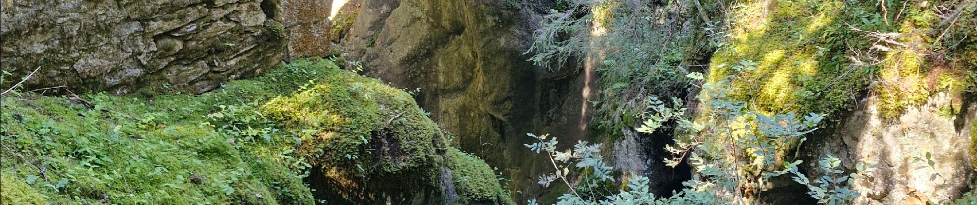 Tocht Stappen Les Contamines-Montjoie - 20240916contamines - Photo