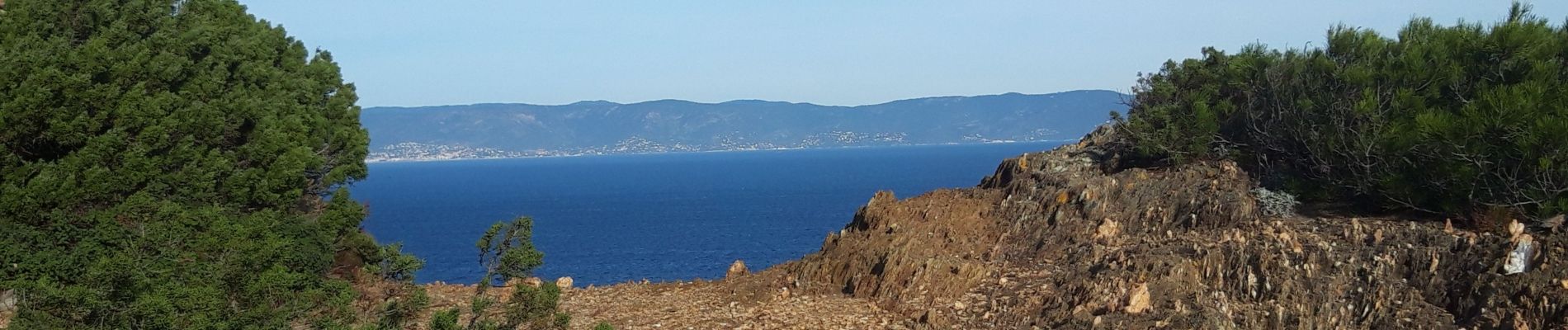 Tocht Stappen Hyères - Port-Cros  - Photo